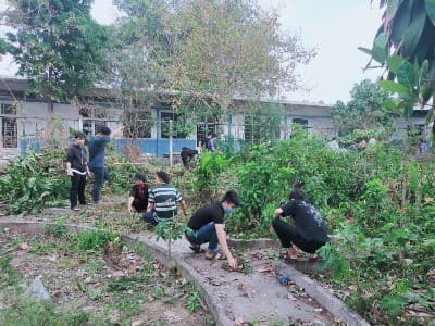 Đoàn viên DLA với Ngày chủ nhật xanh