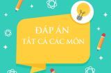 Đáp án chính thức thi tốt nghiệp THPT 2020 của Bộ GD&ĐT tất cả các môn