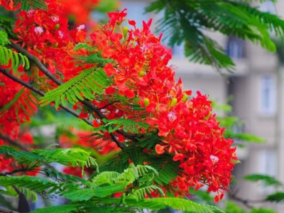 Chút tâm tình sinh viên năm cuối